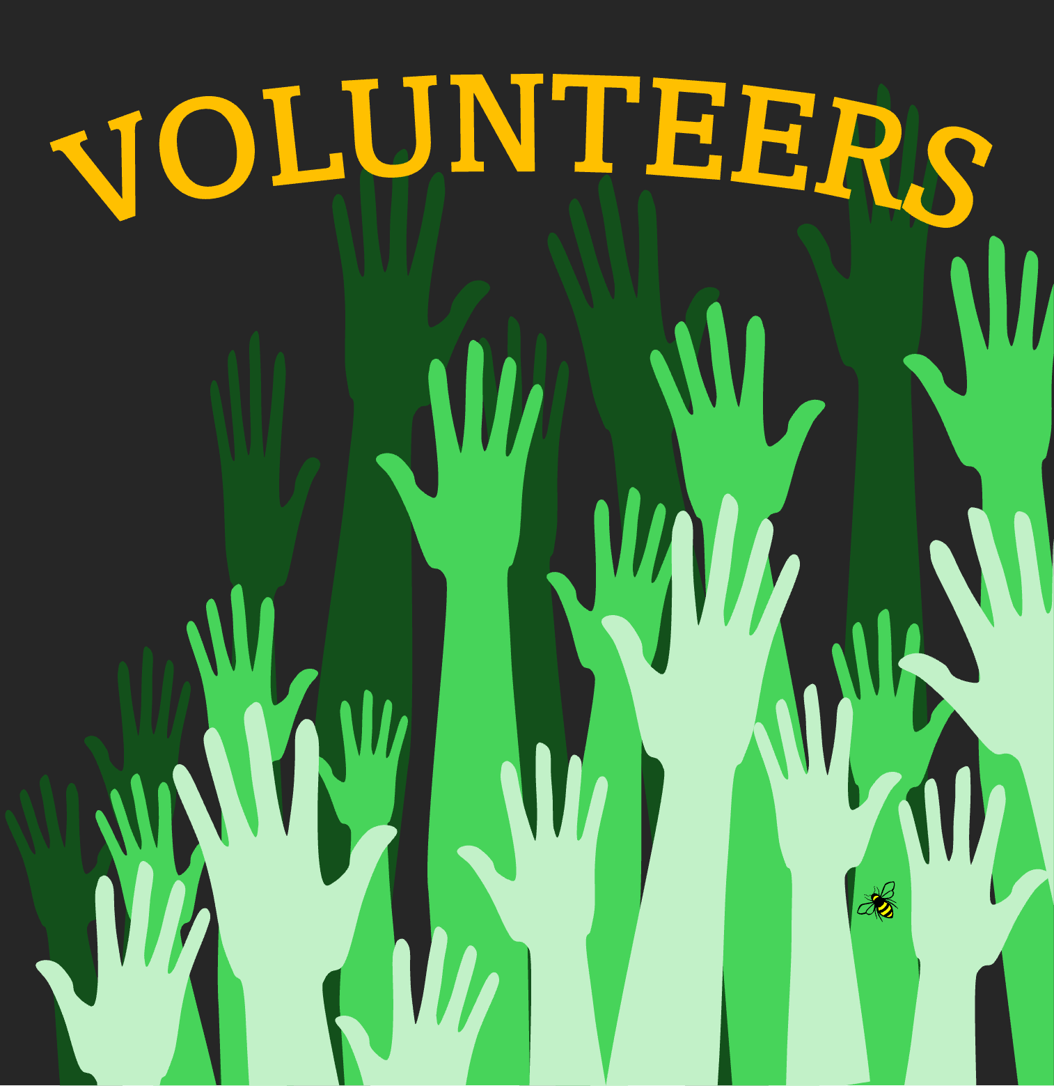 volunteer image